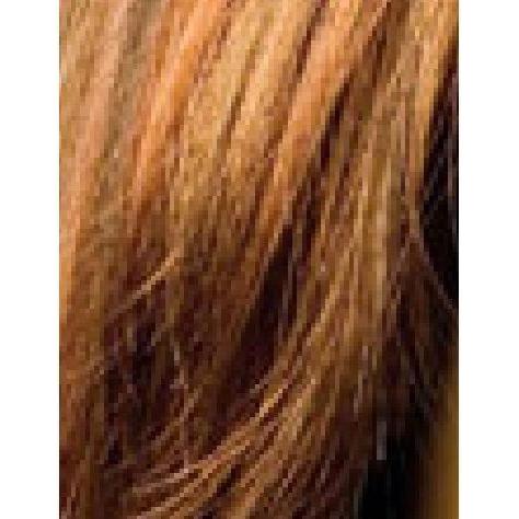 Dream Hair EL Wonder BIBA 18.5 _ Kunsthaar Ponytail - gtwtoporld.com