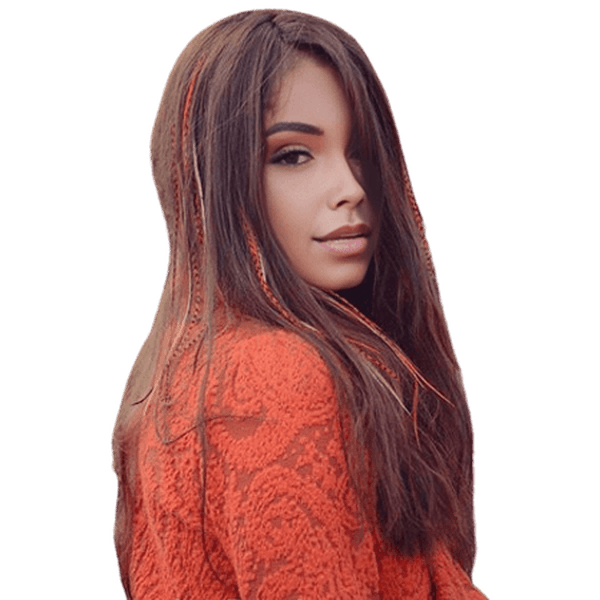 Dream Hair One Clip - In Feather Extensions Kunsthaar - gtwtoporld.com