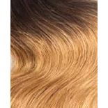 Dream Hair ponytail EL 160 10"/25cm Synthetic Hair - gtwtoporld.com