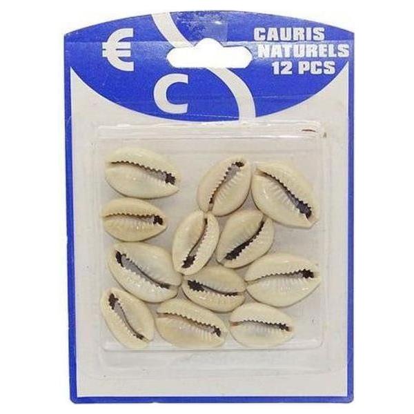 Hair Shell (12) :Cauris - gtwtoporld.com