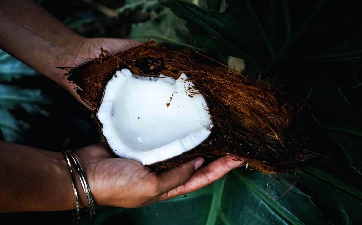 Kokosnussöl und Kokosnuss Creme - Natürlicher Inhaltsstoff | GT World - gtwtoporld.com