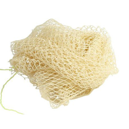 African Afri Body Sponges - gtwtoporld.com