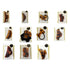Annie Hair Accessories - gtwtoporld.com