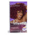 Dark & lovely Hair Color Go Intense Passion Plum 68 - gtwtoporld.com