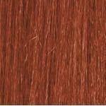 Darling Afro Kinky Bulk Synthetic Hair - gtwtoporld.com