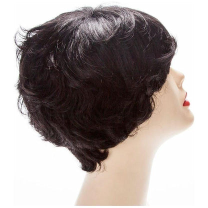 Dream Hair 100% Human Hair Wig Nelda - gtwtoporld.com