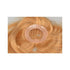 Dream Hair Closures 200 Style Remy Hair/Human Hair, Remy Echthaar - gtwtoporld.com