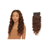 Dream Hair CO BRAZILIAN WAVE 8 Pcs & 17 Clips On 14:1 - gtwtoporld.com