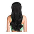 Dream Hair Curly Clip in Ponytail 22" - Synthetic Hair - gtwtoporld.com