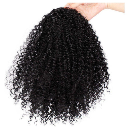 Dream Hair Kinky Curl 8" Ponytail - Synthetic Hair - gtwtoporld.com