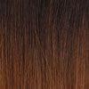 Dream Hair Passion Twist Crochet Braid Kunsthaar - gtwtoporld.com