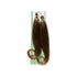 Dream Hair Pony 2000 Short (2pcs): T4/27 - gtwtoporld.com