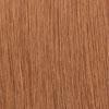 Dream Hair S - Caribian Curl Braids 20"/50cm Synthetic Hair - gtwtoporld.com