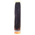 Dream Hair S - Senegal Soft Bulk Synthetic Hair - gtwtoporld.com