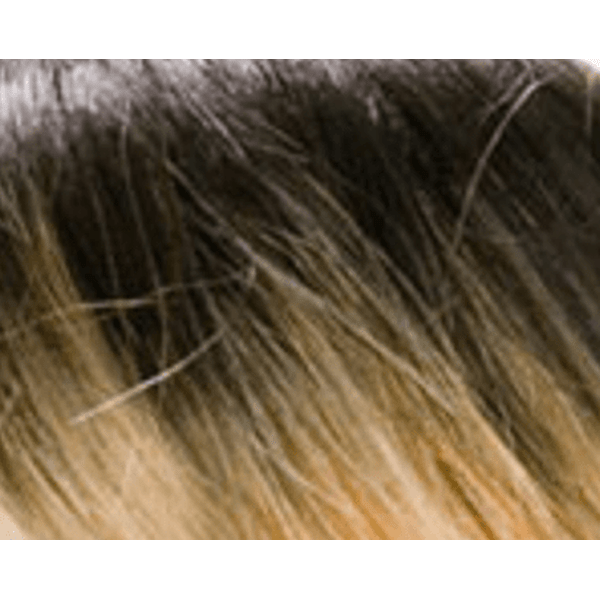 Dream Hair Wig Monaliza Synthetic Hair, Kunsthaar - gtwtoporld.com