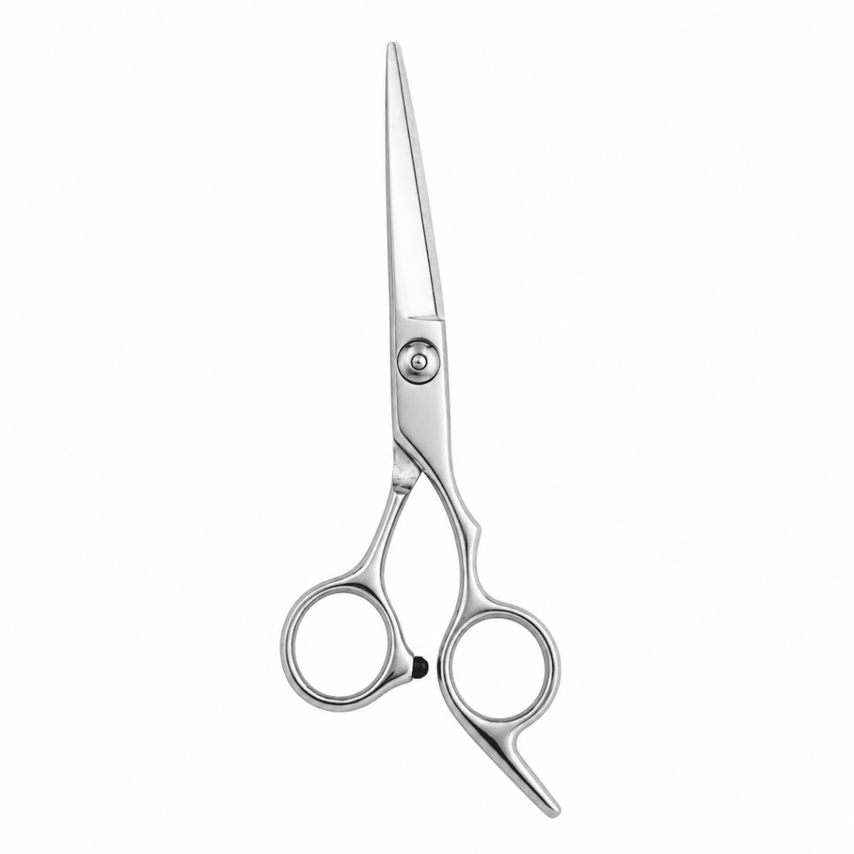 Dreamfix Stainless Steel Cutting scissors 6 Inch - gtwtoporld.com