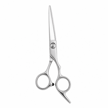 Dreamfix Stainless Steel Cutting scissors 6 Inch - gtwtoporld.com
