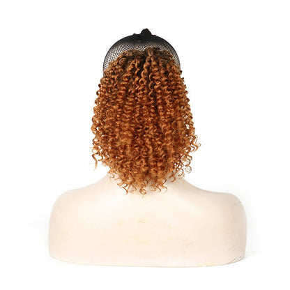 Dreamhair Curly Ponytail 10" - gtwtoporld.com