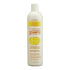 Fantasia Liquid Mousse 100% Natural Lemon Moisturizing Shampoo 473Ml - gtwtoporld.com