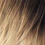 Hair by Sleek Hair Couture Luxury Ponytail Ariel Synthetic Hair - gtwtoporld.com
