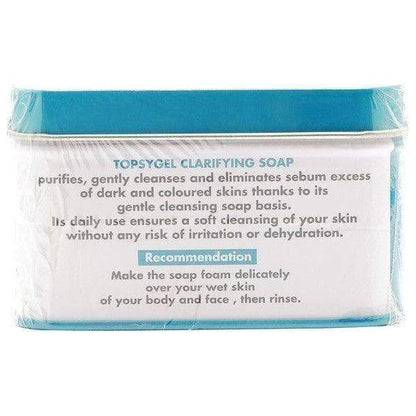 HT 26 TOPSYGEL Clarifying Soap Concentrate 150 g - gtwtoporld.com