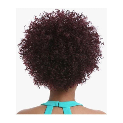 Instant Pony Natural Afro 10" - Synthetic Premium Hair - gtwtoporld.com