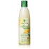 Jamaican Mango & Lime Pure Naturals Coconut Milk & Honey Shampoo 8oz - gtwtoporld.com