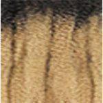 Janet Collection 5x EZ Wet &amp; Wavy 28" Synthetic Hair - gtwtoporld.com