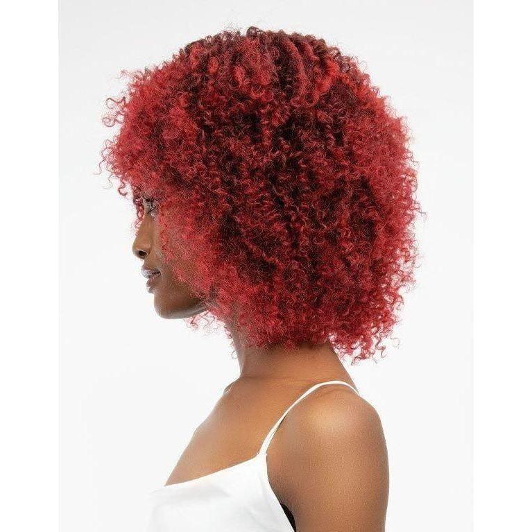 Janet Collection Natürliche Afro Leon Perücke - Synthetisches Haar - gtwtoporld.com