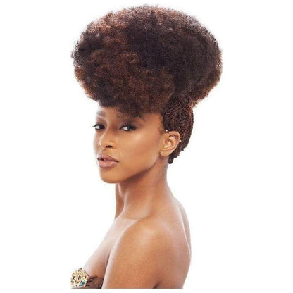 Janet Collection Noir 2X Afro Kinky Bulk 24" 100% Kanekalon Fiber - gtwtoporld.com