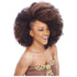Janet Collection Noir 2X Afro Kinky Bulk 24" 100% Kanekalon Fiber - gtwtoporld.com