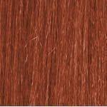 Janet Collection Pixie Cut 38pcs + 10"(4 pcs) 100% Virgin Echthaar - gtwtoporld.com