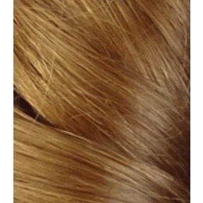 Mane Concept Ombre Yaky Ponytail 18" - Synthetic Hair - gtwtoporld.com