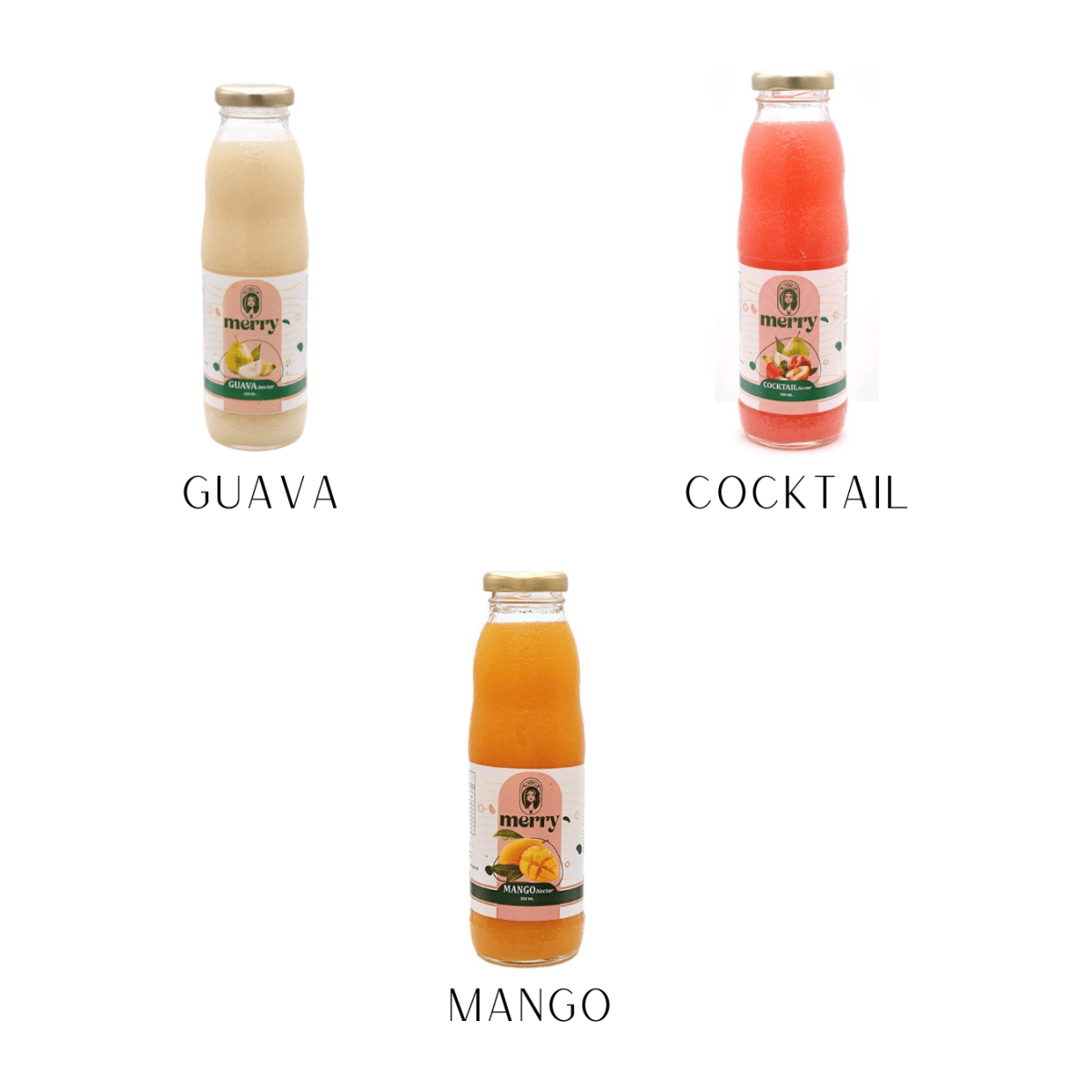 Merry Fruit Juices (Mango/Guava/Cocktail) 350ml - gtwtoporld.com