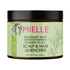 Mielle Rosemary Mint Pomade to Oil Hair & Scalp Quencher 5oz - gtwtoporld.com