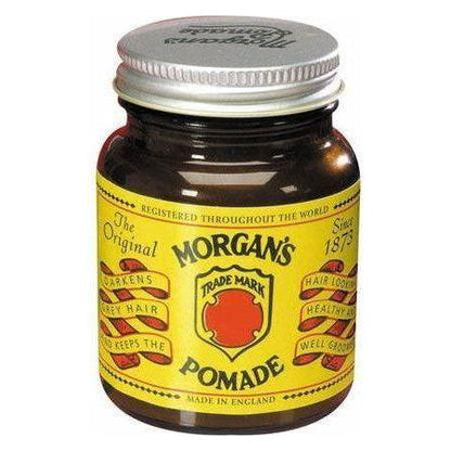 Morgans Pomade 100ml - gtwtoporld.com