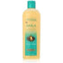 Optimum Amla Legend Moisture Shampoo 400ml - gtwtoporld.com