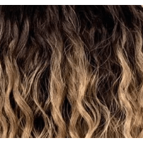 Sleek Atty Spotlight 101 Synthetic Lace Parting Wig 30" - gtwtoporld.com