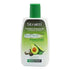 Stratti Avocado & Shea Butter Conditioner 300ml - gtwtoporld.com