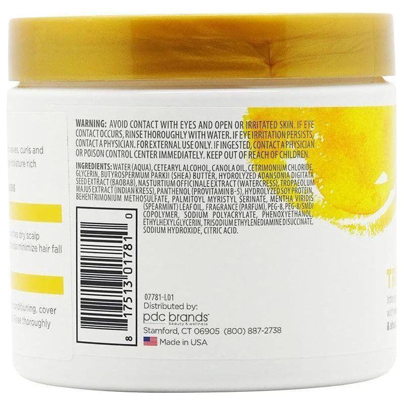 TXTR by Cantu Strengthen + Restore Moisture Mask 396g - gtwtoporld.com