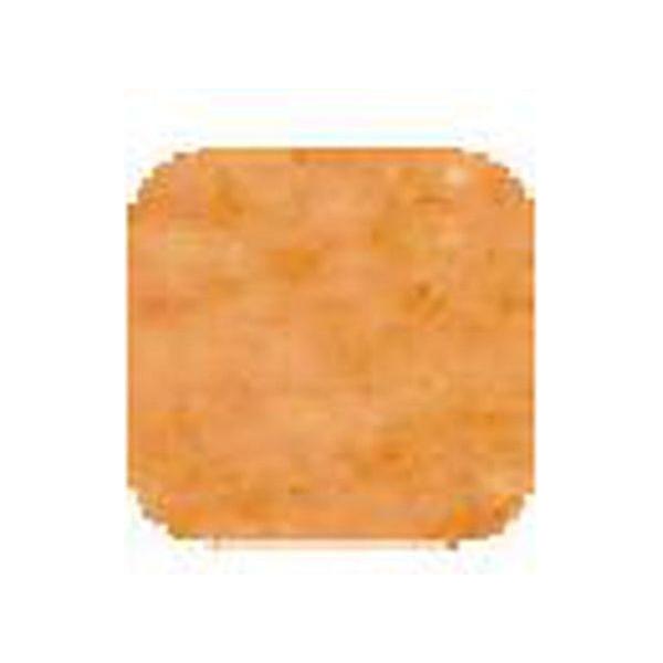 ViVi Oil Control Compact Powder Peanut 8g - gtwtoporld.com