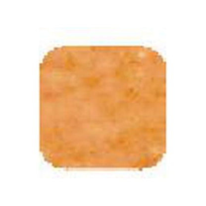 ViVi Oil Control Compact Powder Peanut 8g - gtwtoporld.com